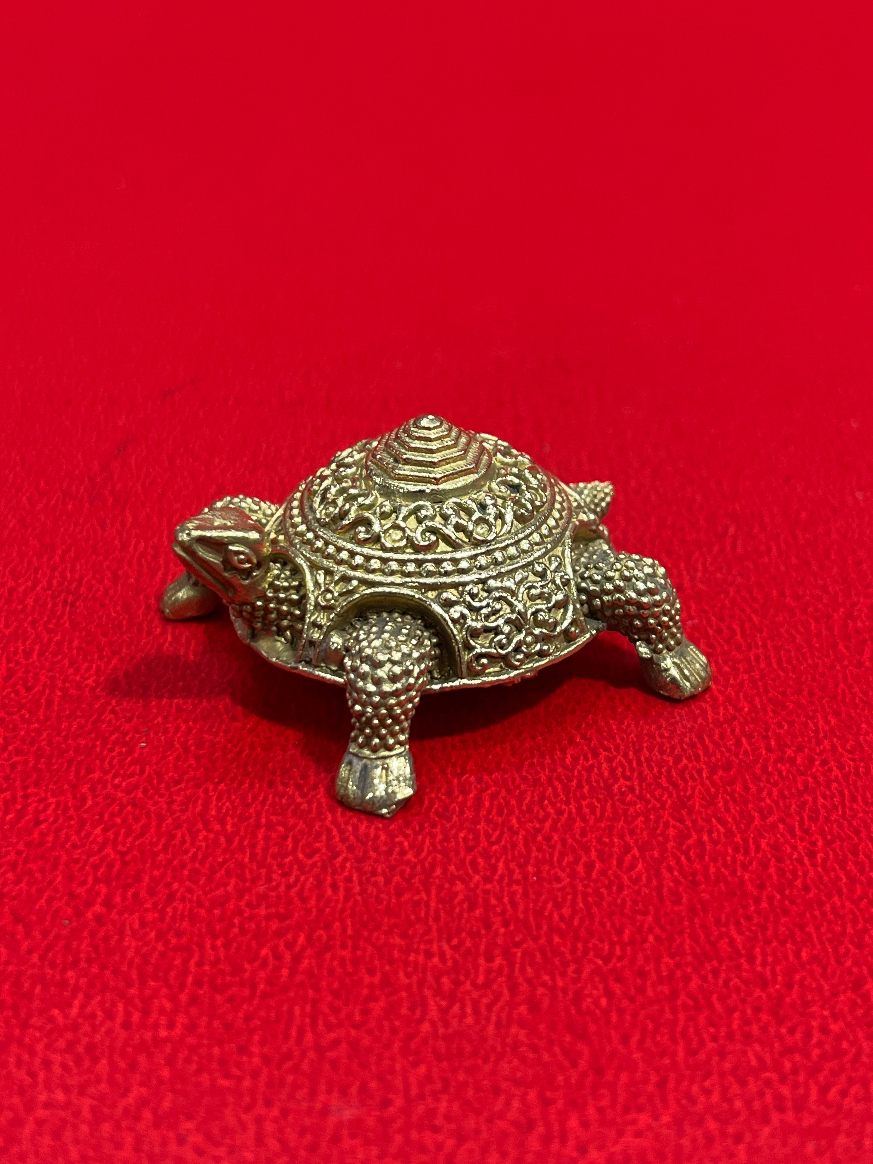 Tortoises
