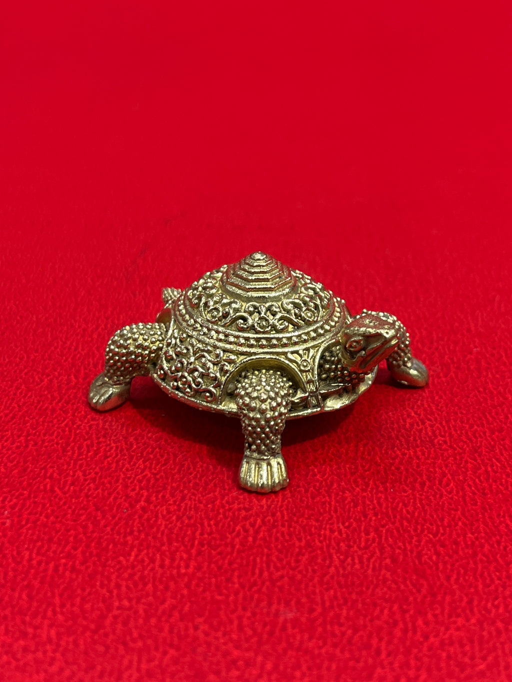 Tortoises