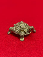 Tortoises