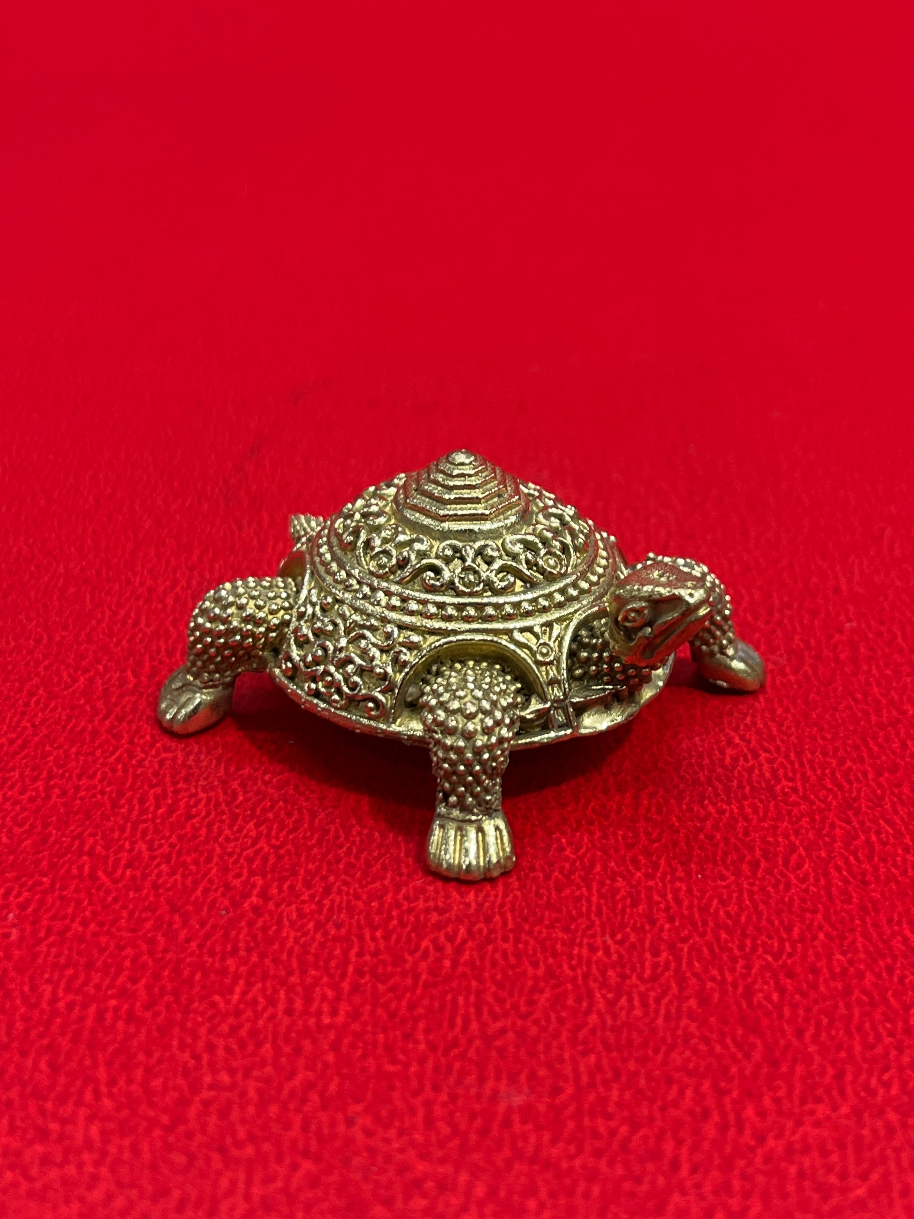 Tortoises
