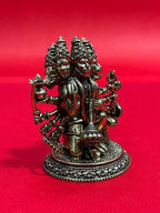 Panchmuga Human