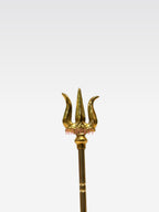 DM TRISHUL GOLD STAND   6