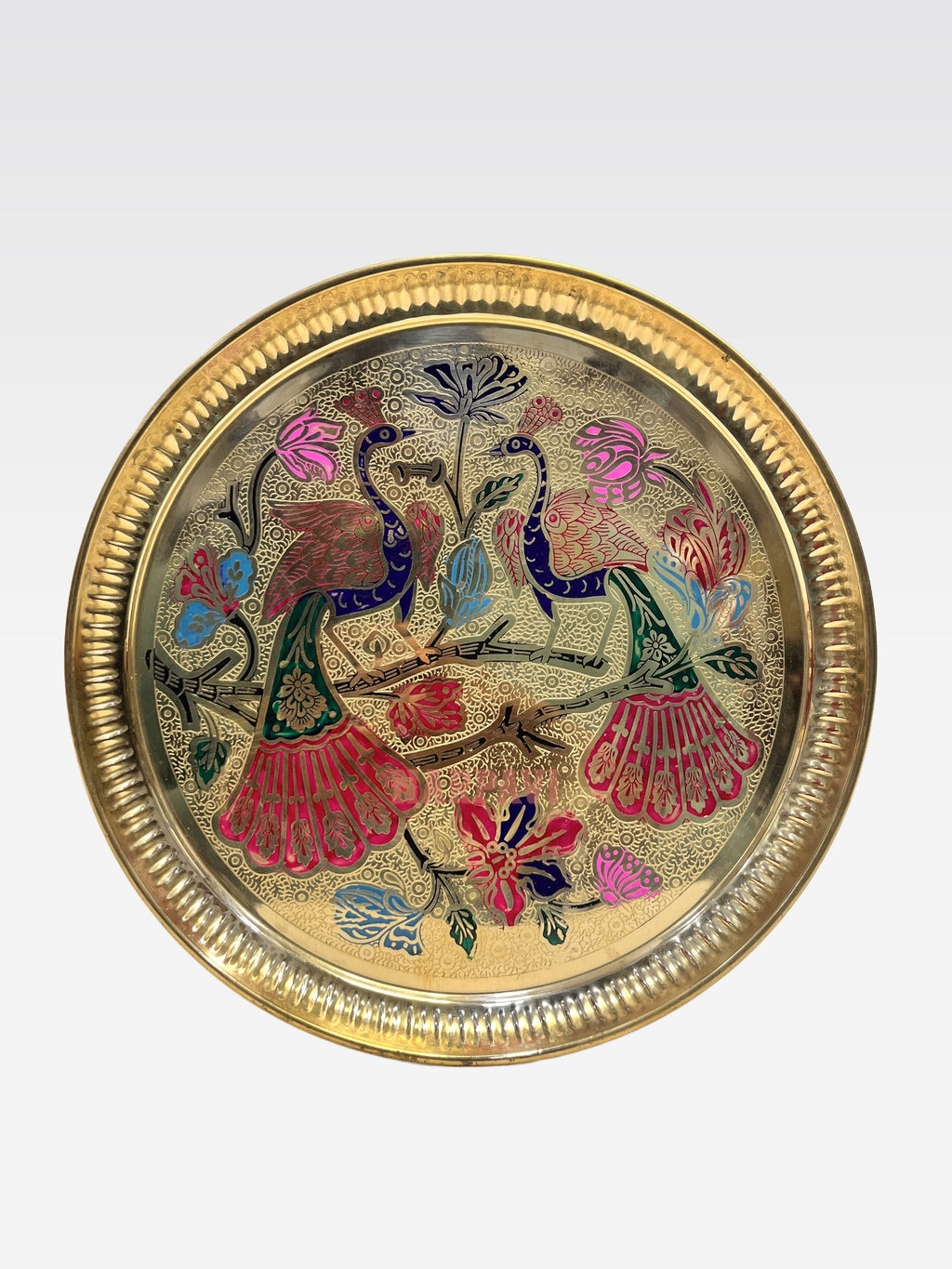 DM COLOUR PLATE 2