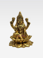 DM LAKSHMI SBB  A