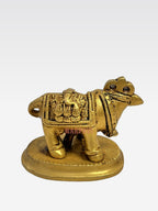 DM COW SBB B