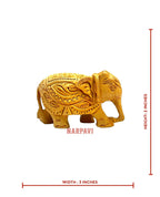 Carbin Elephant Td 2"