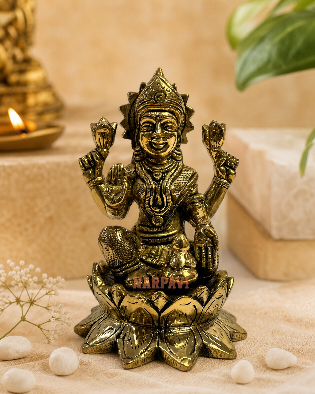 DM LAKSHMI C