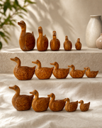 DUCK ANIMAL