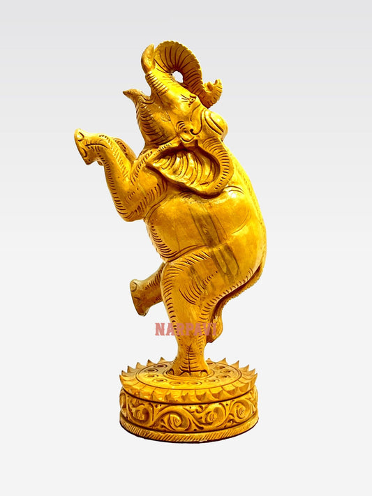 Elephant Dancing