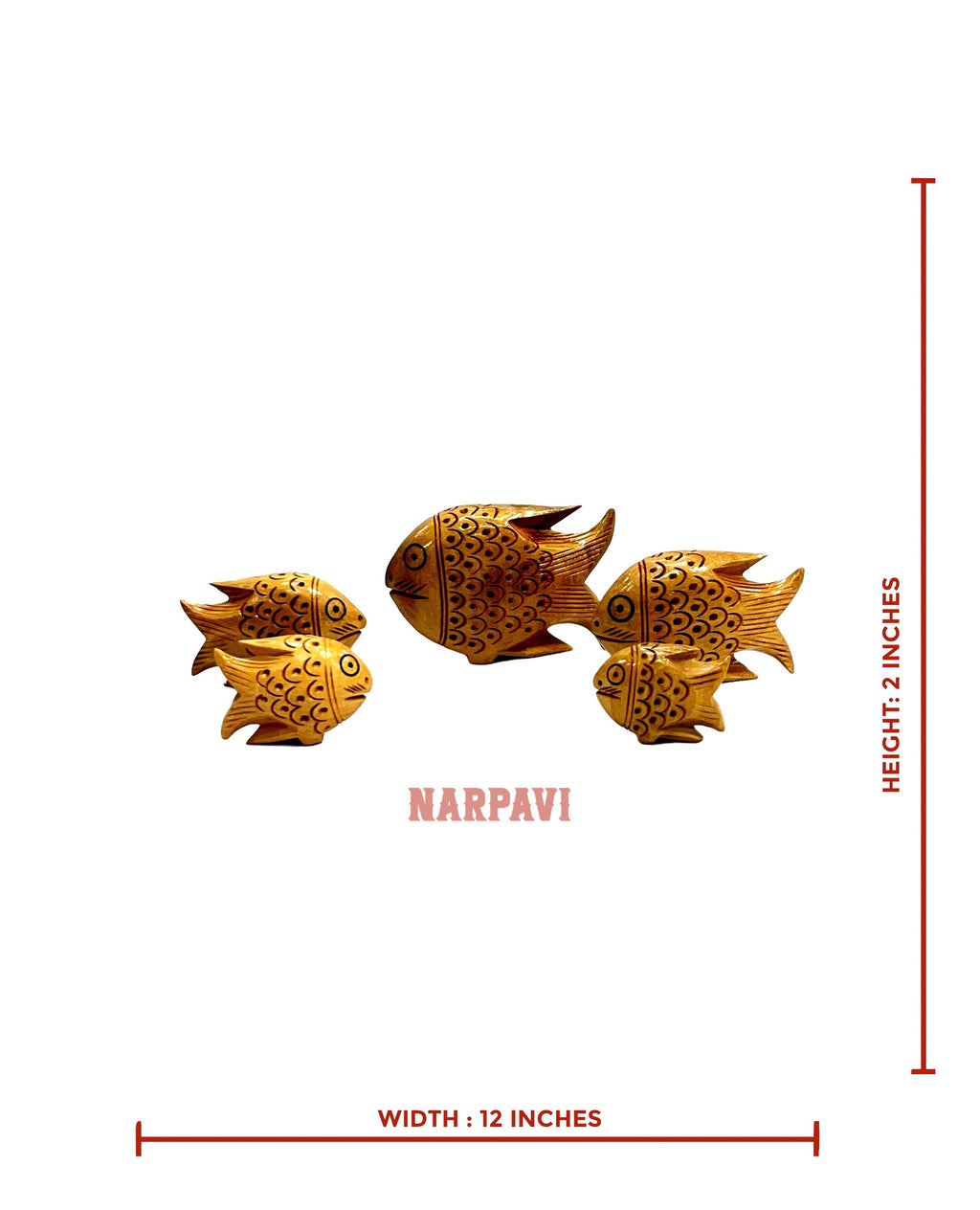 Fish Animal Set Of 5