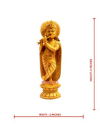 Krishna 6"