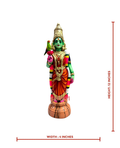 Meenakshmi 12"