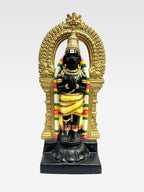 Nanganallur Hanumar
