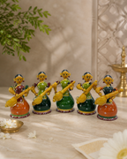 SNR VEENA LADY