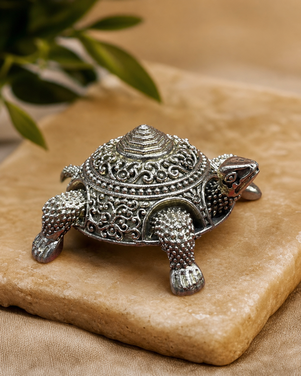 Tortoise