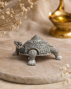 Tortoise