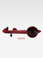 Veena